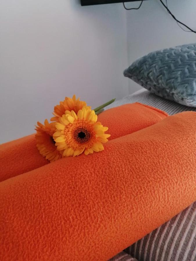 Apartman Radic Trogir Exterior photo